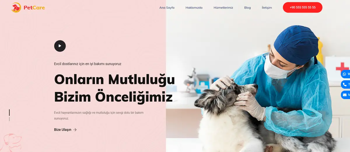 Veteriner projesi ekran görüntüsü